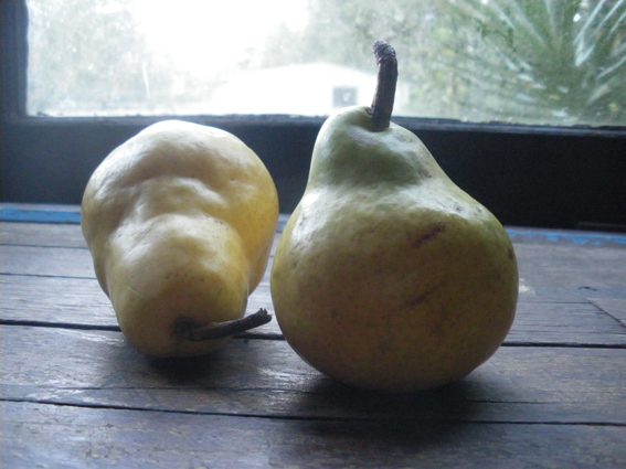 Some nice in season oranic pears would go alright with the pork I reckoned.